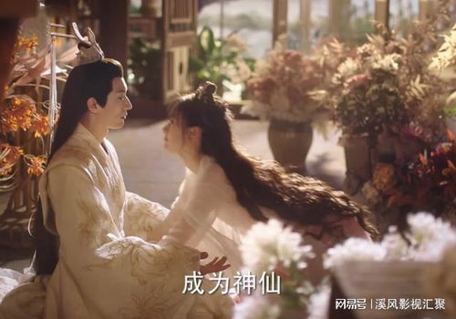 落花时节又逢君的精彩开播