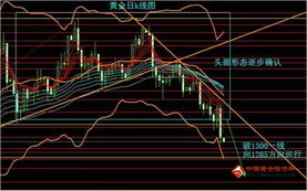 金价大跳水，市场波动与投资策略的应对之道
