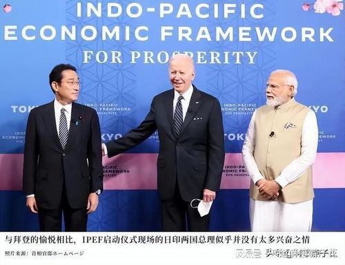 韩国为何会出现反华抗议？