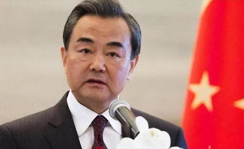 王毅谈六尺巷，传承文化与和谐共处之道