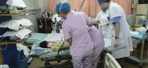医院回应女子被毒蛇咬伤后不幸死亡事件